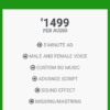 Premium Audio Ad Plan